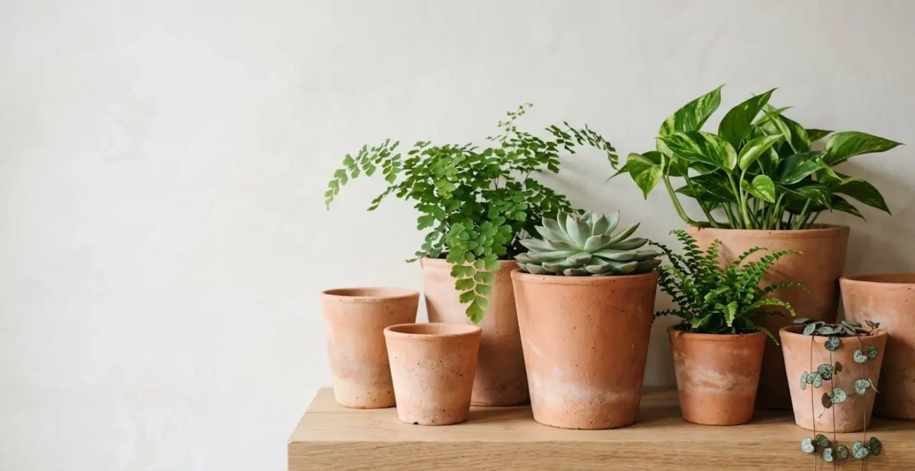 Composición de macetas de barro artesanales con plantas verdes y textura porosa natural